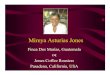 Mireya Asturias Jones II... · 2008. 9. 14. · Mireya Asturias de Jones FcaDos Marias Miguelina Villatoro Fca Paternal Participantes de Guatemala. Participación en Junta Directiva