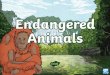 What Is an Endangered Species? - Beech Hill Primary...An endangered species is a group (population) of plants, animals or other organisms that is in danger of becoming extinct. This