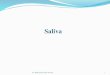 Saliva - KSUfac.ksu.edu.sa/sites/default/files/4-_saliva.pdfSaliva: Mixture of oral fluids (Salivary glands secretions, cellular materials and food debris). Daily secretion of saliva