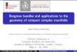 Bergman bundles and applications to the geometry of compact …demailly/... · 2020. 5. 8. · J.-P. Demailly, Virtual Conference CAG at UWO, May 7, 2020Bergman bundles and applications