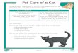 Pet Care of a Catd6vsczyu1rky0.cloudfront.net/37668_b/wp-content/uploads/... · 2020. 6. 22. · Pet Care of a Cat Cats are a very popular pet in the UK. They don’t need to be taken
