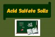 Acid Sulfate Soils - 三重大学The acid sulfate soils zone in Southeast Asia is considered to be potential farmland, but is not farmed because of its strong. acidity. Acid sulfate