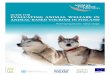 GUIDE FOR EVALUATING ANIMAL WELFARE IN ANIMAL-BASED ...animaltourismfinland.com/wp-content/uploads/2018/10/Huskies-Welf… · Last, information available on the Hetta Huskies’ website,