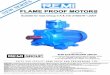 We are pleased to introduce new series of FLP Induction 3 ...€¦ · REMI was first manufacturer to introduce in India in the year 1973 FLP Motors of IEC Frame Sizes including FLP