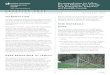 Recommendations for Fallow, Roe and Muntjac Deer Fencing: · PDF file deer fence specifications together with guidance on fence construction and maintenance. The specifications given