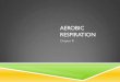 Aerobic Respiration - staff.camas.wednet.edustaff.camas.wednet.edu/.../files/2011/10/8-Aerobic-Respiration1.pdf · 8/10/2011  · AEROBIC RESPIRATION Aerobic respiration is the next