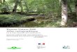 Réseau Natura 2000 Atlas cartographique€¦ · Atlas cartographique De la Zone Spéciale de Conservation MASSIF FORESTIER DES PRIEURES : MOLADIER, BAGNOLET ET MESSARGES FR 8302022