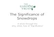 The Significance of Snowdrops - The Gardens Trustthegardenstrust.org/.../10/6-HLP-Significance...v1.pdf · The significance of the landscape of Temple Newsam lies chiefly in the way