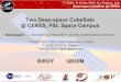 Two Deep-space CubeSats @ CERES, PSL Space Campus · 1st SSEA, 9-12 dec.2015, U.o.Padova, Italy Deep-space CubeSats @ CERES “Bleeping I nterplanetary R adiations D etermination