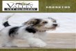 C International Veterinary Branding · 2017. 5. 22. · age. With each dog having 2-13 puppies, it is the best course. easy to see why desexing is required at an early age if we are