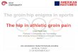 The groin/hip enigma in sports The hip in athletic groin 12.12.2017 ¢  The groin/hip enigma in sports