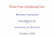 Marzena Szymanska - UCL ucanmhs/pdf/windsor_lecture_1_2010.pdf GaN Polariton Lasing –room temperature effects Flow via obstacle Persistent Quantised Currents [Sanvitto, Marchetti,