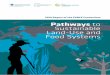 2019 Report of the FABLE Consortium Pathways to ...€¦ · Ethiopia’s Bonn challenge commitment targeting 15 Mha for afforestation by 2020 (Pistorius et al., 2017). Ethiopia FOOD