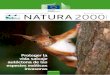 Número 35 | enero 2014 NATURA 2000ec.europa.eu/environment/nature/info/pubs/docs/nat... · 2 boletín de información naturaleza y biodiversidad | enero 2014 Natura2000 Boletín