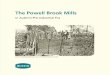 in Austin’s Pre-industrial Era · 2018. 4. 10. · O’Neil Road The Powell Brook Mills in Austin’s Pre-industrial Era. 2 Wesleyan Methodist church Aylmer Place’s family home,