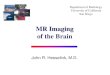 MR Imaging of the Brain - UCSDspinwarp.ucsd.edu/NeuroWeb/PPT/rad-401.pdf · MR Imaging of the Brain . MR System Components Computer Gradient Amplifier Receiver Transmitter Digitizer