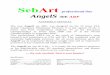 SebArt professional line · 2014. 7. 17. · SebArt professional line. AngelS . 30E ARF. ASSEMBLY MANUAL . The new AngelS 30E ARF, was designed by the 10 times F3A Italian Champion