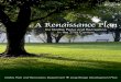 Dallas Parks and Recreation...A Renaissance Plan - Dallas Park and Recreation budgetary malaise include deteriorating parks impacted by limited maintenance levels and capital investment,
