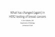 What has changed (again) in HER2 testing of breast cancers · 2019. 2. 13. · metastatic breast cancers at the University of Utah / ARUP Labs fell under the three groups (Groups