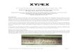 Repairing of Heavily Cracked Reinforcing Concrete Bridge ...xypexvietnam.com/.../Test-51CivilJapan.263181810.pdf · Concrete waterproofing By Crystallization™ 51st Annual Meeting