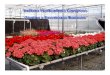 Starting a Greenhouse Business Indiana Horticulture Congress · Indiana (37 acres of greenhouse roses in Richmond) Year round potted plants (less demand, greater competition) Bedding