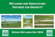 WETLANDS AND AGRICULTURE PARTNERS FOR GROWTH€¦ · Wetlands serve as valuable natural infrastructure for agriculture, providing reliable water and fertile soils, but they are at