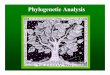Phylogenetic Analysis - Western Washington ... 3) Originated the practice of using the - (shield and