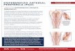 PAD Flyer Spanish - Society for Vascular Surgery · Title: PAD_Flyer_Spanish Author: Julie Woertz Created Date: 1/9/2019 2:11:29 PM