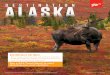 ALASKA ESTINATION Store Collateral...ALASKAESTINATION *Restrictions and limitations apply to AAA Travel’s Price Match Guarantee. Go to AAA.com/BestPrice for full details. ©2019