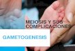 MEIOSIS Y SUS COMPLICACIONES GAMETOGENESIS...Meiosis Características de la meiosis o T ipo de división nuclear y celular para originar gametos o células sexuales (haploides). o
