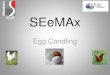 SEeMAx - EPAC solutions Egg Candling.pdf · 2020. 6. 3. · 5 Prem’s Farm Sorter is an automatic candling and separator that fits in-between the hens House outlet egg conveyor and