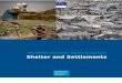 Shelter and Settlements - European Commissionec.europa.eu/echo/sites/echo-site/files/ss_consolidated... · 2017. 2. 21. · 2 Executive Summary Globally, forced displacement has grown
