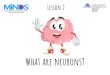 What are neurons? Lesson 2webcommons.mssm.edu/.../sites/55/2020/04/Lesson_2.pdf · Lesson 2. What did we learn last time? our brain is inside our skull! our brain sends messages 