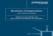 Business Cooperation: From Theory to Practice...International cooperation 107 Empirical evidence from the experiences of small and medium-sized companies 110 7 Technological Cooperation