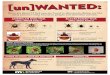 Unwanted Tick poster - bah.state.mn.usUnwanted Tick poster Author: Minnesota Board of Animal Health Subject: describes the two main Minnesota ticks, the wood tick and deer tick, and
