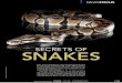 SNAKES - National University of Singapore special news issue on... · SNAKES NEWSFOCUS Exotic, elusive, and dangerous, snakes have fascinated humankind for millennia. They can be