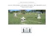 SAN PEDRO CEMETERY WORKPLAN · San Pedro Cemetery is located between two historically active communities ― Stringtown and Centerpoint ― and along the historic San Antonio Road,