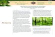 Resources and Assistance Available for Planting Hardwood ... · on selecting the correct species for your site and planting objectives, seedling spacing and arrangement, site preparation