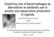 Exploring Use of bacteriophages as alternatives to ... · Presentation Outline •Antibiotic use in animal production ... Nigerian phages: The first bacteriophages from Tropical Africa