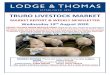 TRURO LIVESTOCK MARKET · 2020. 8. 22. · - 3 - - TRURO LIVESTOCK MARKET LODGE & THOMAS. Inc. Tuesday’s “Orange” TB restricted Market Report an entry of 52 UTM & OTM prime