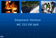 Deepwater Horizon MC 252 Oil Spill · Deepwater Horizon MC 252 Governing law is the Oil Pollution Acti (OPA) Governor named State Response Lead Agencies: •Mississippi Department