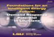 Foundations for an Intelligent Energy Future: Demand ......Incentive-based programs can also have distributional implications if the money for demand-reduction payments is raised through