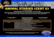 Animal Studies (Cert iI) - northernadelaidesc.sa.edu.au€¦ · Animal Studies (Cert iI) ... animal care Understanding of the importance of safety aspects of the animal care industry