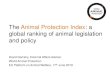 The Animal Protection Index: a global ranking of animal ... · PDF file World Animal Protection • We are a global organisation working around the world, creating positive lasting