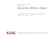 security white paper · PDF file security efforts on perimeter defenses, as this document suggests. However, the importance of considering security threats posed by internal risks