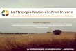 La Strategia Nazionale Aree Interne€¦ · Costituzione del Comitato Tecnico (settembre 2012), lancio della Strategia Nazionale per le Aree Interne (dicembre 2012) e invito a presentare