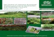 The Control of Japanese Knotweed (Fallopia japonica) in ... · The Control of Japanese Knotweed in Construction and Landscape Contracts 5 A1.2 Research into biological control programmes
