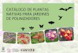 Presentación de PowerPointbiodiversidad.morelos.gob.mx/sites/biodiversidad.morelos.gob.mx/fil… · Polinizadores Los polinizadores como colibríes, mariposas, abejas, abejorros