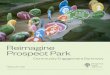 Reimagine Prospect Park · Prospect Park Alliance is the non-proﬁt organization that sustains “Brooklyn’s Backyard,” working in partnership with the City of New York. The