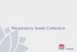 Respiratory Swab Collectionhealth.nsw.gov.au/Infectious/Influenza/Documents/... · This presentation will cover 4 main issues: Collection of good quality respiratory specimens Maintenance